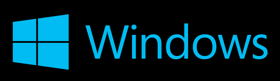 Acabar com o «Windows is checking for a solution...»